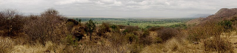 Panorámica.