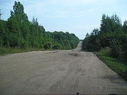 Road through forest in Mezhevskoy District