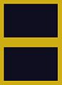 Flight suit sleeve insignia for a second lieutenant (2003–present)