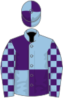 Light blue and purple (quartered), checked sleeves, quartered cap