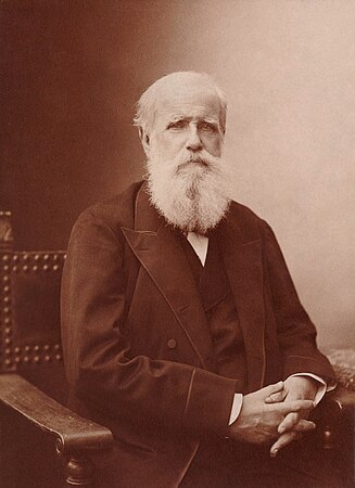 11. Pedro II of Brazil