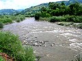 El río Rica a su paso por Poienile