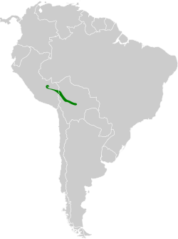 Distribución geográfica del tiranuelo simple.