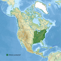 Nordamerika-Karte mit grün eingezeichneter Verbreitung