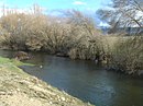 Riberas del río Adaja y afluentes