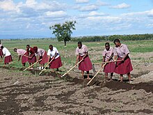 Students Tending School Crops