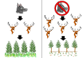 Image 10A simple trophic cascade diagram. On the right shows when wolves are absent, showing an increase in elks and reduction in vegetation growth. The left one shows when wolves are present and controlling the elk population. (from Community (ecology))