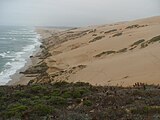 Guadalupe-Nipomo Dunes, autre décor à l'antre de Davy Jones.