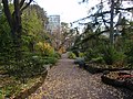 Garden in October