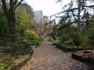 Le jardin en octobre.