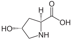 (2S,4R)-4-Hydroxyproline