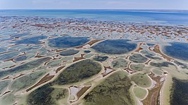 Aerial shot of Dzharylhach National Nature Park, Ukraine. Photo by Vadym Yuny