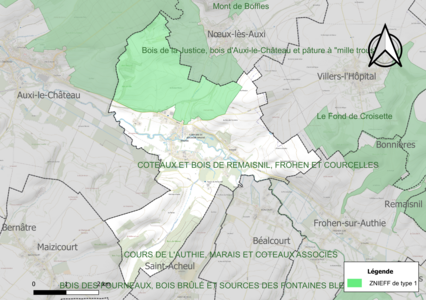 Carte de la ZNIEFF de type 1 sur la commune.