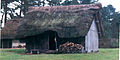 One of the reconstructed Anglo Saxon houses at West Stow