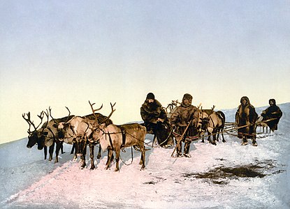 Reindeer sled, by the Detroit Publishing Company (restored by Durova)