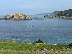 Biscayan Cove, as seen from Cape St. Francis