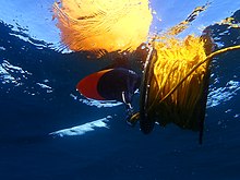 View from below of buoy clipped to reel of diving shotline deployed in fairly shallow water (about 20m). Most of the 100m line is still on the reel