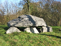 Image illustrative de l’article Dolmen de Buzy