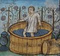 Image 27In ancient times, berries were crushed by foot in a barrel or pit (from Winemaking)