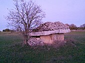 Dolmen de Verdier-Petit