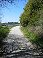 Trail at Elkhorn Slough 2008