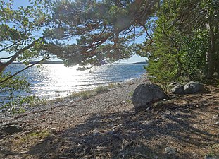 Vid Fåglaröfjärdens strand.