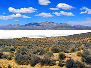 Salar Laguna Salinas