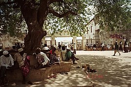 La grande place de Lamu, face au fort. (1996)