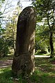 Menhir du Pic