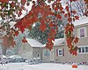 Snow falling on autumn leaves