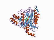 1b59: COMPLEX OF HUMAN METHIONINE AMINOPEPTIDASE-2 COMPLEXED WITH OVALICIN