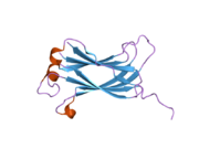 2f1y: Crystal structure of the TRAF-like domain of HAUSP/USP7 bound to a MDM2 peptide