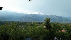 Palampur skyline including the Dhauladhar range