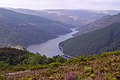 Río Navia en Negueira de Muñiz