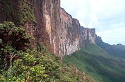 Steep cliff of Mount Roraima