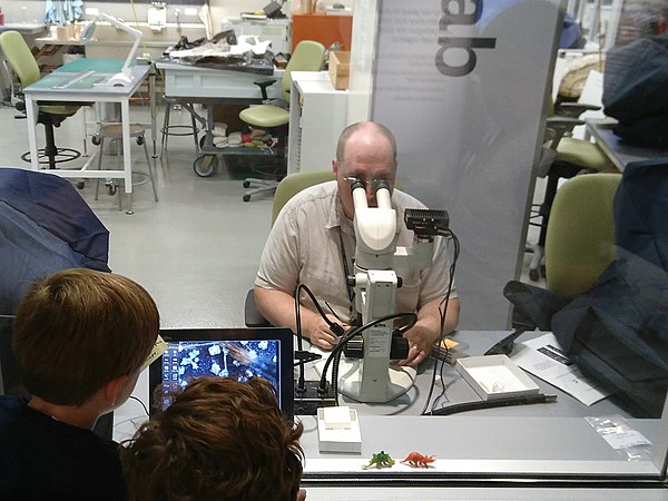 Smithsonian FossiLab at the National Museum of Natural History with fossil preparators being observed by museum visitors - IMG 20190728 153249