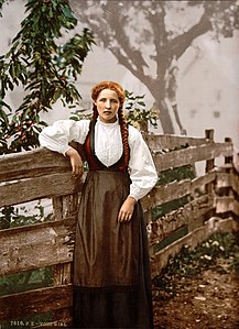 A girl with auburn hair in pigtails poses next to a rude wooden fence. She wears a white ruffled shirt and a long brown dress.