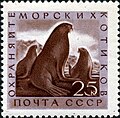 Миниатюра для версии от 15:17, 29 января 2011