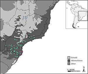 Os quadrados azuis correspondem à distribuição geográfica e a estrela indica o local onde o tipo foi coletado