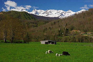 La campagne d'Oust est une zone de prairies entre le village et le Salat.