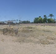 The historic Goodyear-Ocotillo Cemetery