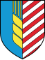 Blason de Salihorsk