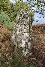 Menhir du Tertre Gicquel