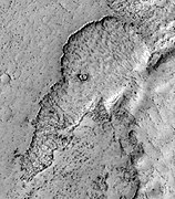 Lava field on Elysium Planitia resembling an elephant