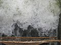 Fishing in the sluices, Kallanai dam, Tiruchirappalli