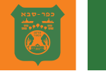 דגל העיר
