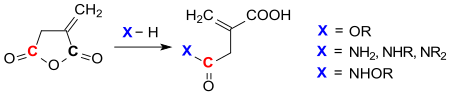 Reaktionen von Itaconsäureanhydrid mit Nukleophilen