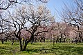 2019年3月10日 (日) 14:11時点における版のサムネイル