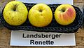 Landsberger Renette