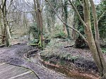 Burnt mounds at Moseley Bog